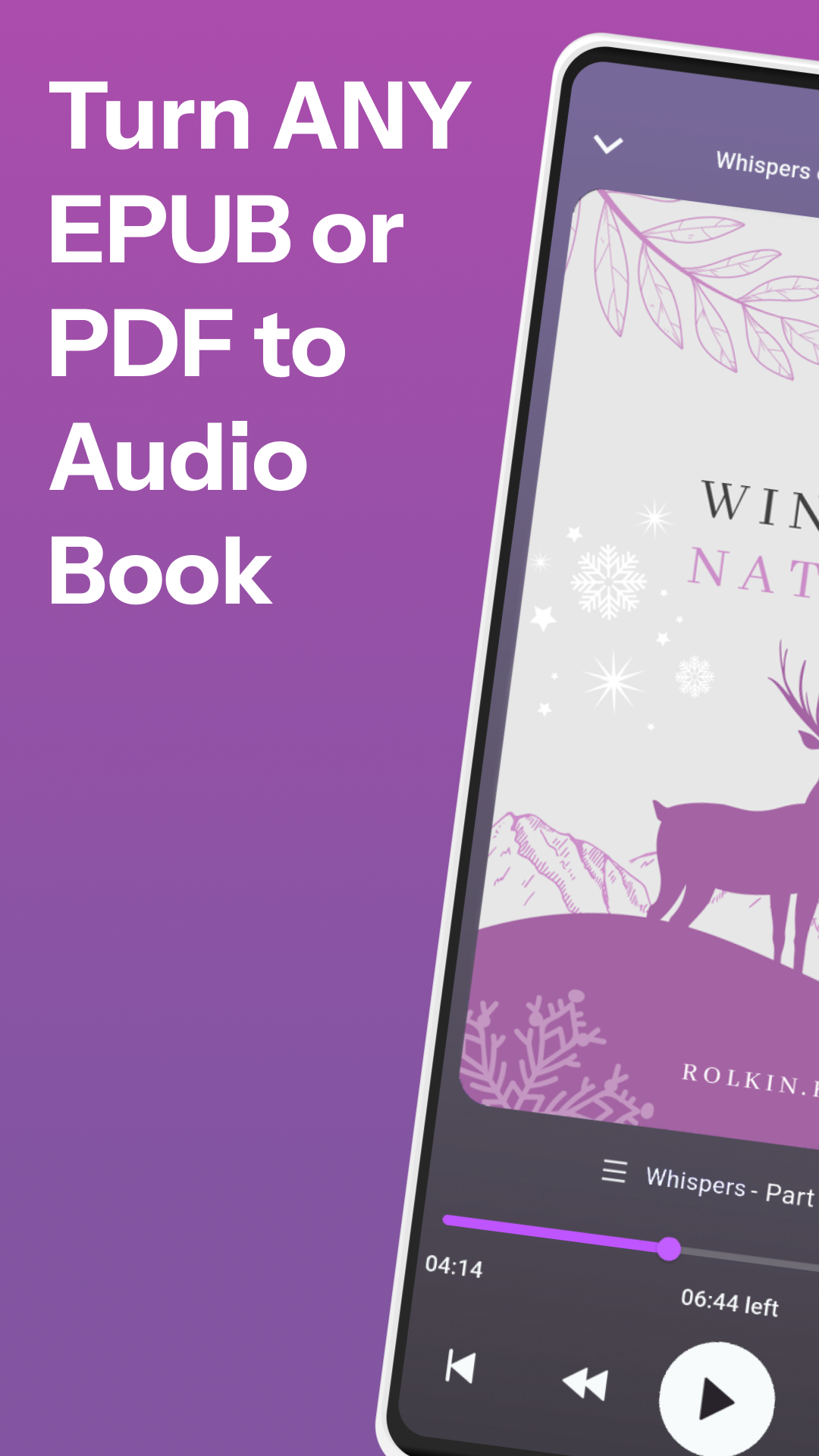 Audiobook player